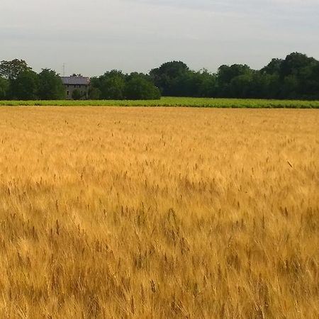 הוילה Quattro Castella La Vigna Dei Peri מראה חיצוני תמונה